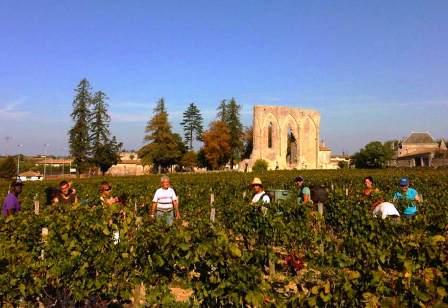 2012 St. Emilion Classification Begins, 96 Chateaux Apply