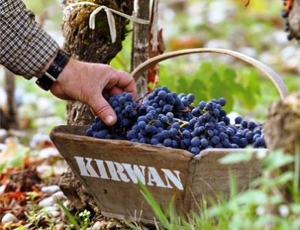 2011 Kirwan Philippe Delfaut Interview on the Harvest