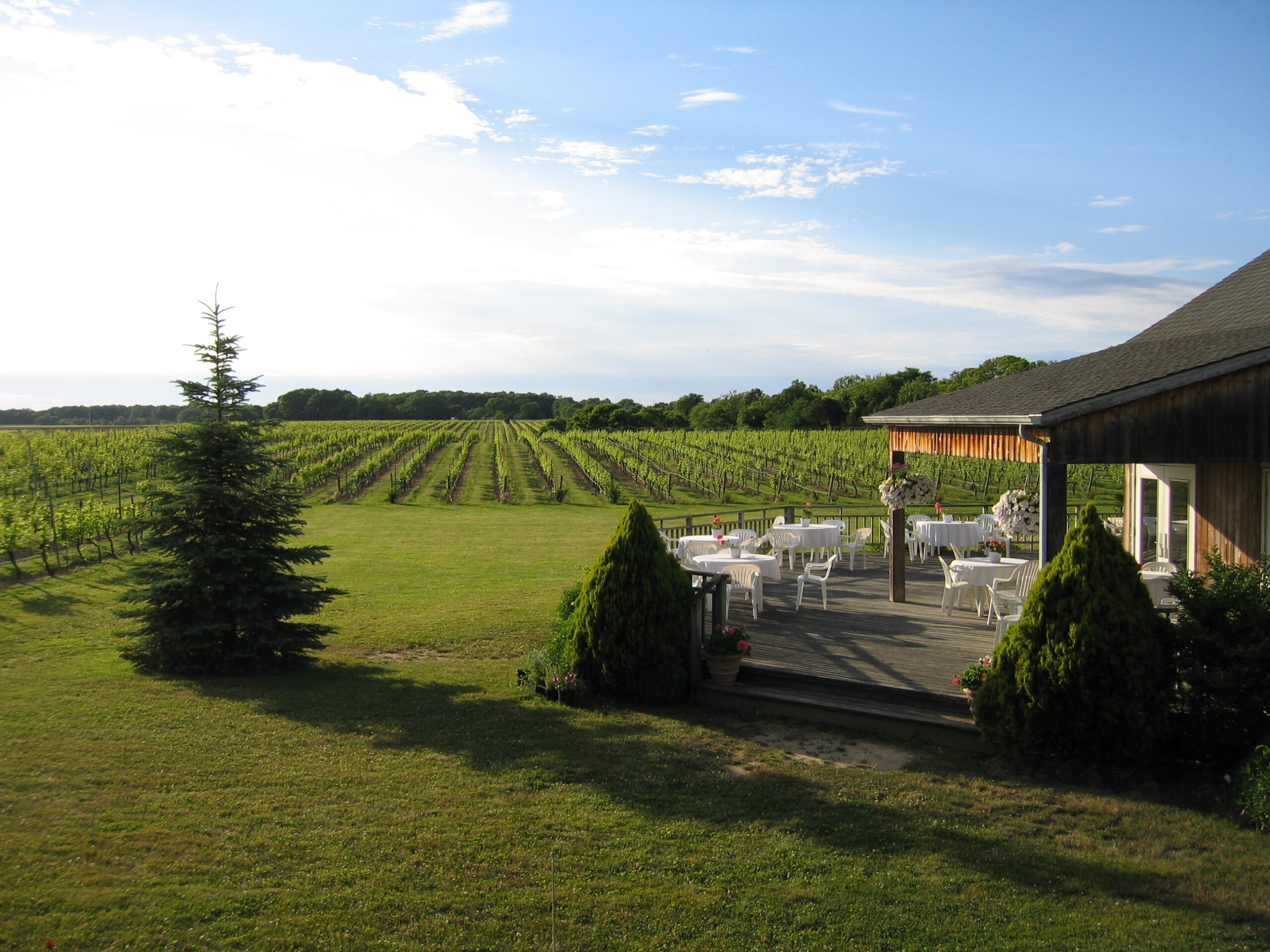 Upstate winery discount
