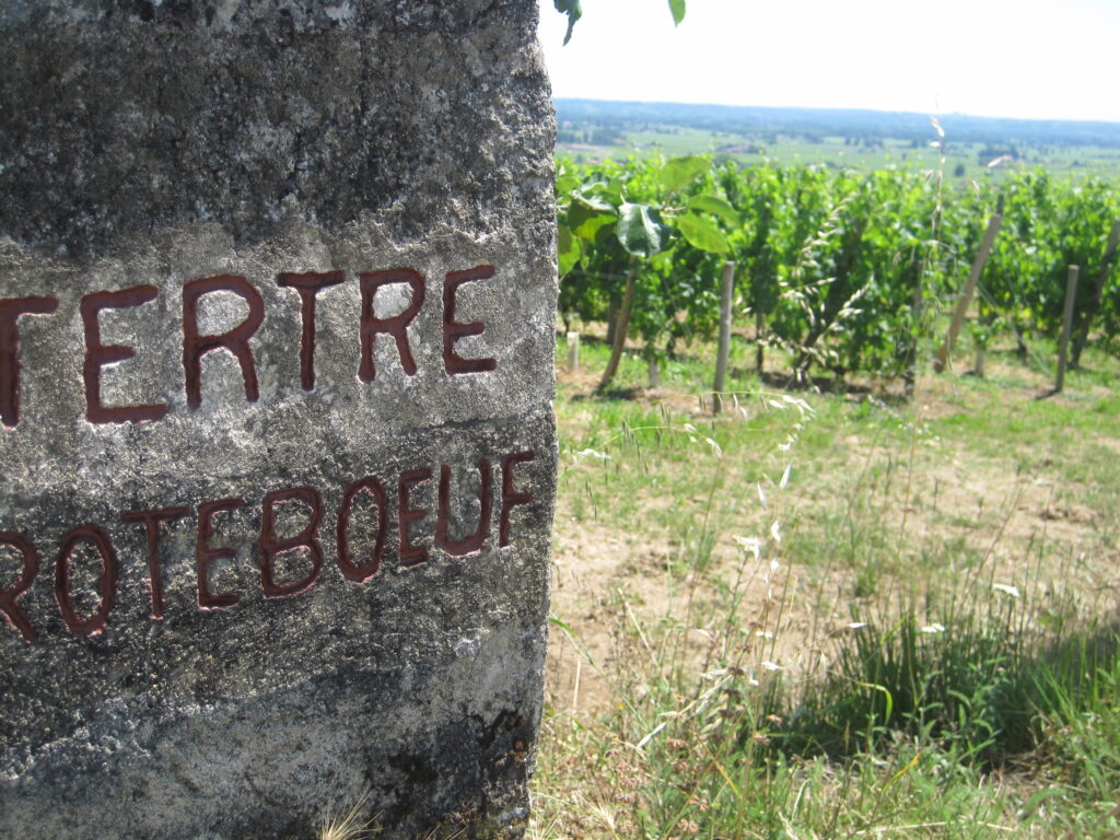 Tertre Roteboeuf The Wine Cellar Insider