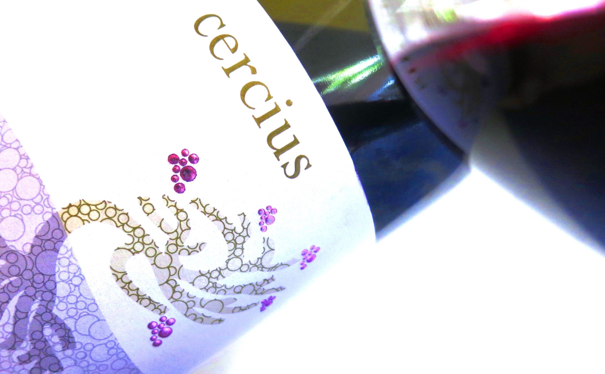 Michel Gassier Cercius, A Rhone Value Wine To Purchase by the Case