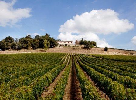 Wine News from Les Caves Particulières, Château Quintus, Wines