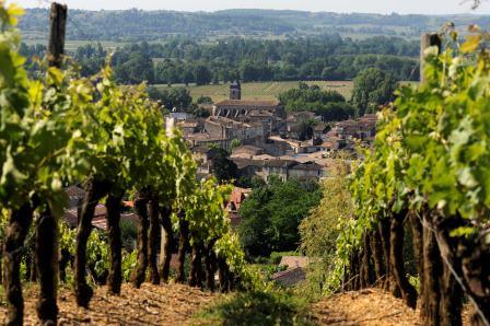 French Wine Classifications AOC Law Wine Grapes Vineyards of France French Wine Classifications AOC Law Wine Grapes Vineyards of France