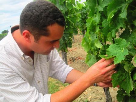 2012 Petrus Harvest in Full Bloom in Pomerol Christian Moueix Happy