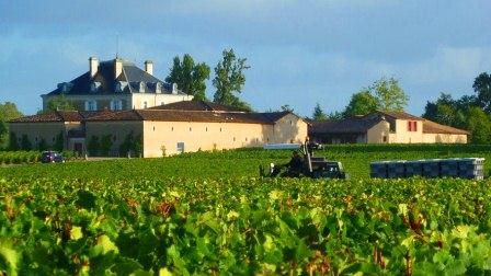 2012 Haut-Bailly Harvest