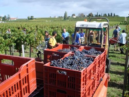 2012 Le Dome Bordeaux Harvest is long for Jonathan Maltus