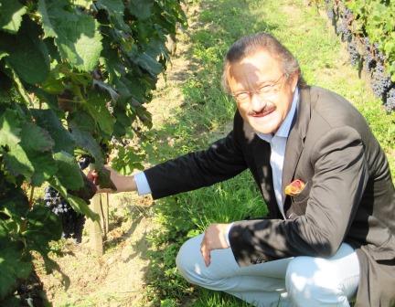 Stephan von Neipperg 2012 Bordeaux Vintage and Harvest Interview