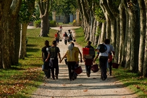 2012 Bordeaux harvest pickers walking