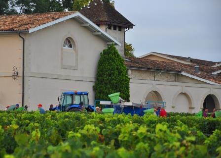 2012 Pichon Lalande Harvest Report A Wine Makers Vintage in Pauillac