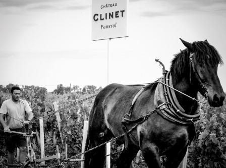 2012 Clinet Ronan Laborde Interview on Pomerol the Vintage and Harvest