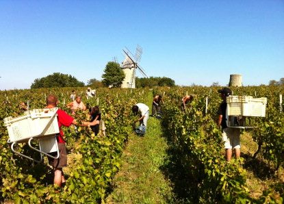 Saint Emilion Satellite Appellations Bordeaux Wine Complete Guide