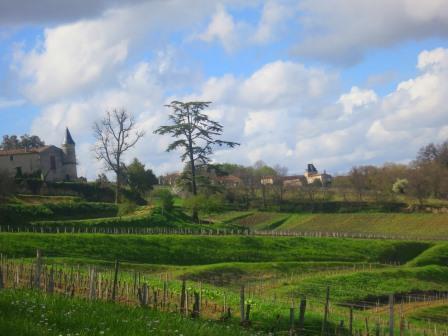 2012 Bordeaux Value Wine Tasting Notes in Barrel Ratings