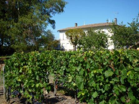 Chateau Clarisse Puisseguin St. Emilion Bordeaux, Complete Guide