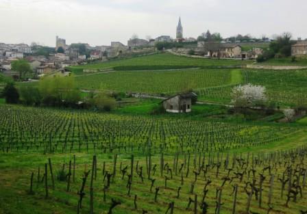 St. Emilion Grand Cru Classe  Chateaux Producer Vineyard Guide
