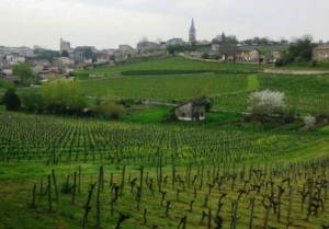 St. Emilion  Grand Cru Classe Wines