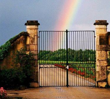 Eric Perrin on Chateau Carbonnieux 2013 Bordeaux White Wine Harvest