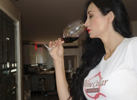 Learn How to Taste Wine, Enjoy Wine, Evaluate Wine like Professional Tasters
