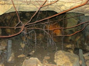 St. Emilion Terroir Limestone Caves