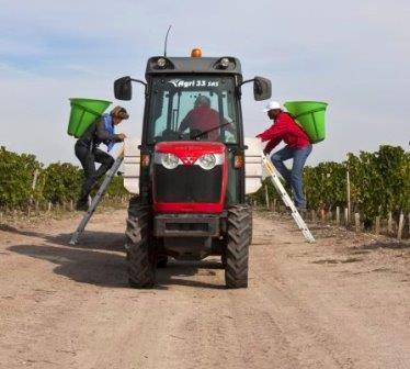 2013 Brane Cantenac Harvest Growing Season Vintage Report