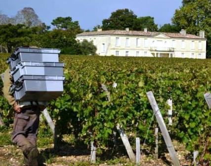 2013 Smith Haut Lafitte Harvest Vintage Report Interview