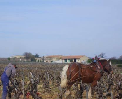 Domaine lOr de Line