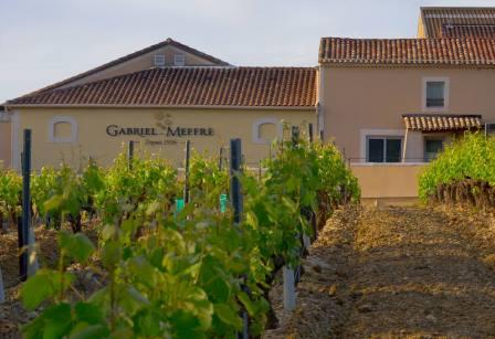 Maison Gabriel Meffre Chateauneuf du Pape Rhone Wine, Complete Guide