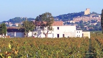 Mas Saint Louis Chateauneuf du Pape Rhone Wine, Complete Guide