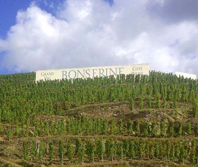 Domaine de Bonserine Cote Rotie Rhone Wine, Complete Guide