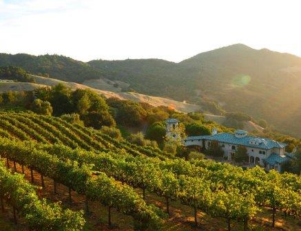 Alfred Tesseron of Pontet Canet buys Robin Williams Napa Vineyard