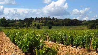 Southern Rhone Complete Guide to the Best Wines Wineries Appellations