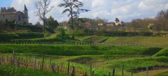 Complete Guide to All About Bordeaux Wine