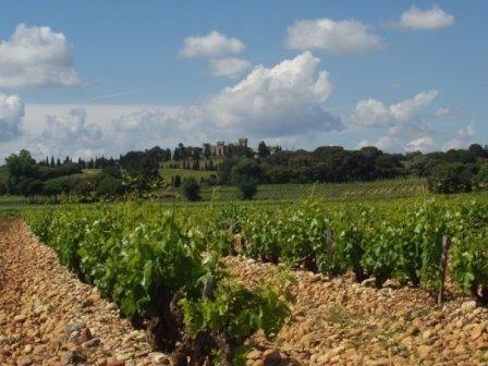 Cotes du Rhone Appellation Rhone Valley Wine The Complete Guide