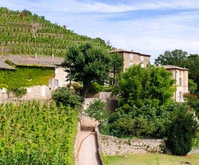 Chateau Grillet