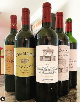 Complete 2019 St. Julien Wine Guide Buying Tips Tasting Notes