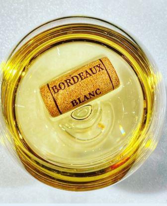 2021 Bordeaux Blanc Report, Tasting Notes, Vintage Info, Ratings