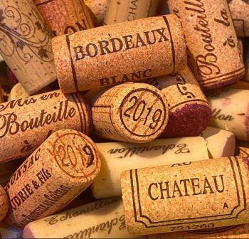 2019 Cotes de Bordeaux Guide to the Best Wines Tasting Notes Scores