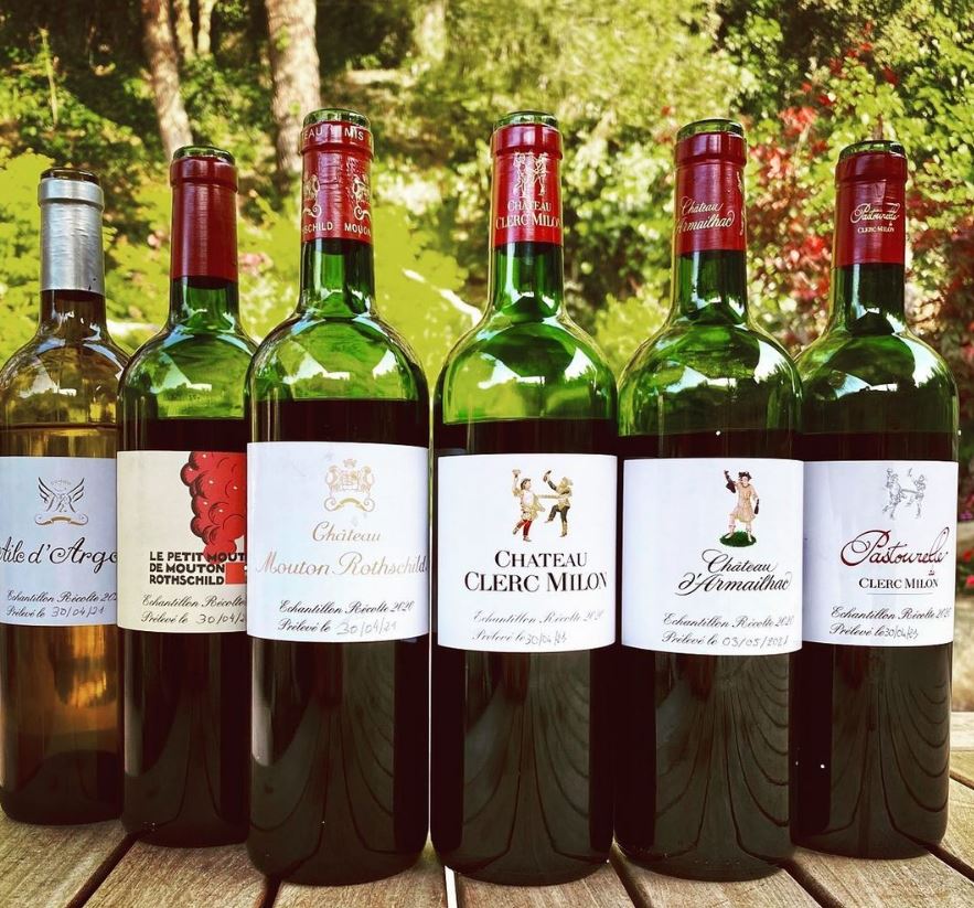 Best 2020 Pauillac Wine Tasting Notes, Ratings, Harvest Reports