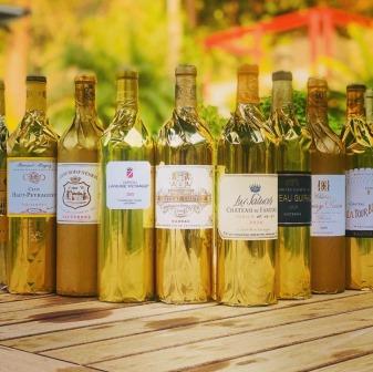 2020 Sauternes Complete Guide Tasting Notes, Ratings, Vintage Report