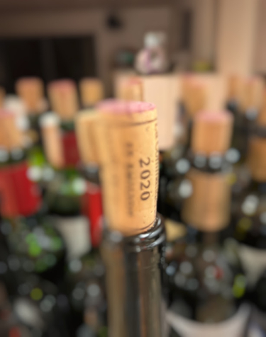 2020 Medoc In Bottle Report with Tasting Notes, Ratings for all the Top Wines