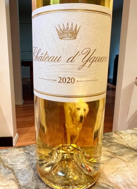 2020 Sweet White Bordeaux Sauternes Barsac Tasting Notes Vintage Guide