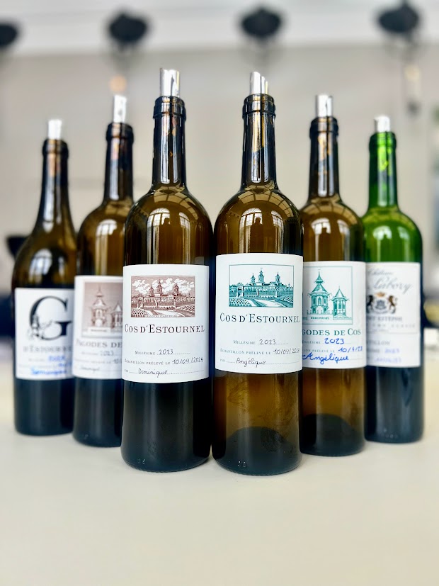 2023 St. Estephe Vintage, Wine Report, and Buying Guide