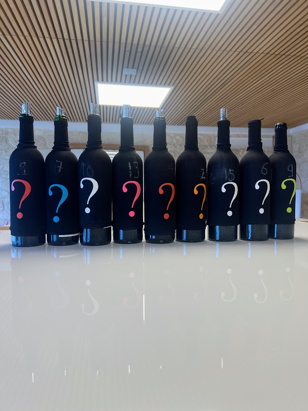 2023 White Bordeaux Wine Report on all the Best White Wines to Buy