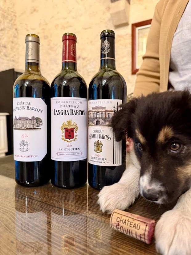 2024 Bordeaux Barrel Tastings 600 Wines Rated, with Vintage Analysis