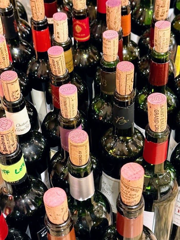 2023 Pessac Leognan, Graves Red, White Wine Buying Guide